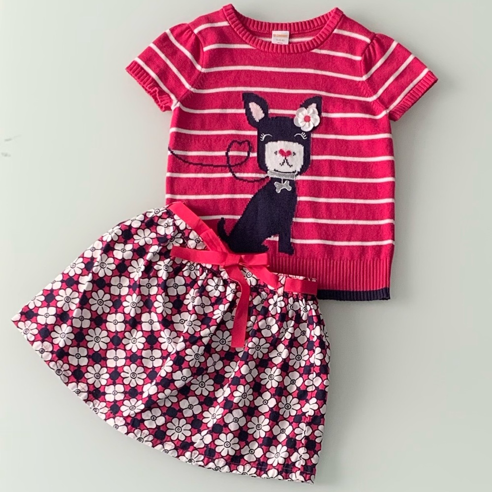Gymboree Knit Top & Skirt EUC